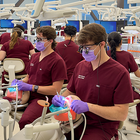 Dental school requirements